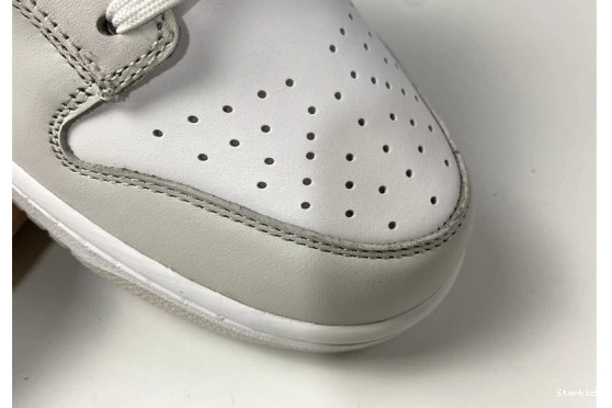 Dunk DD1503-103 "Photon Low Nike Dust" 1022